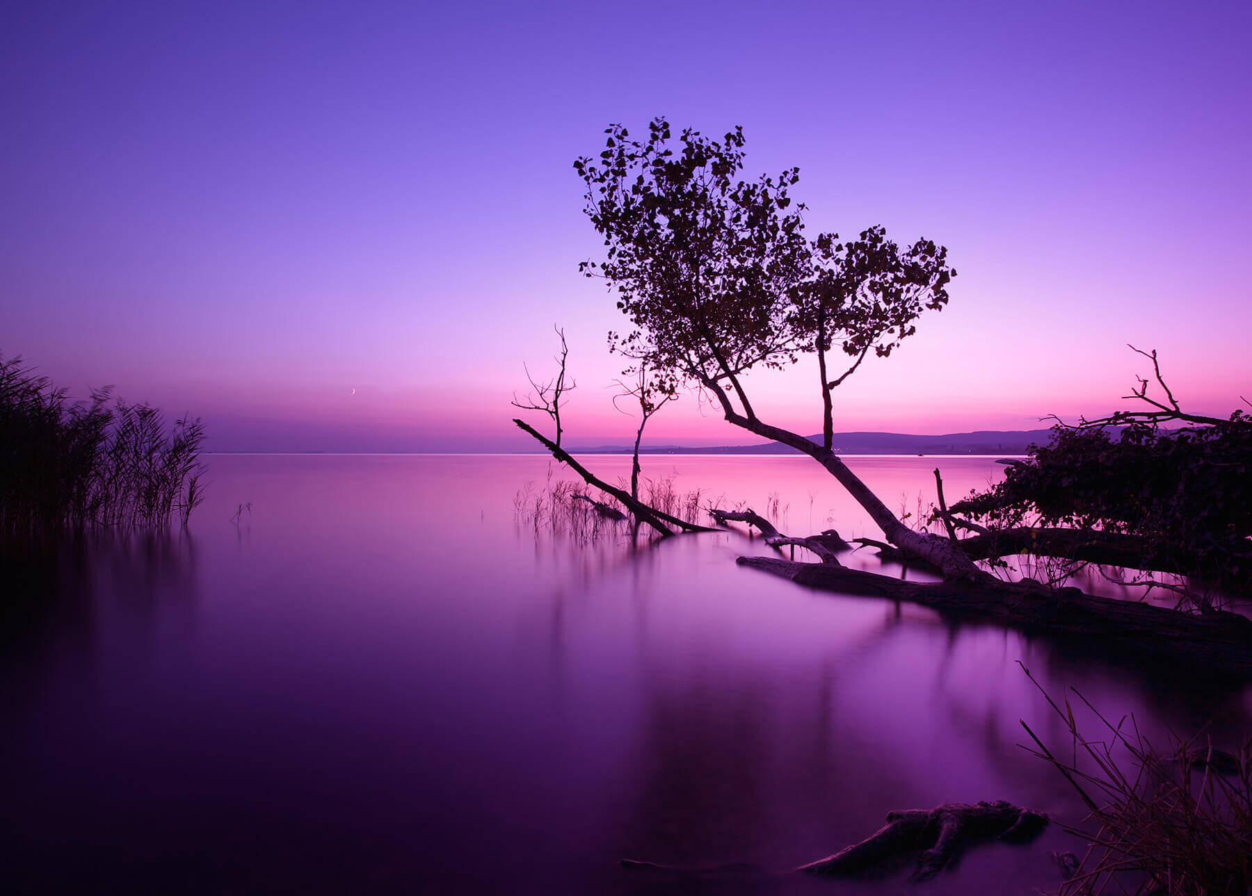 Transitions® GEN S™